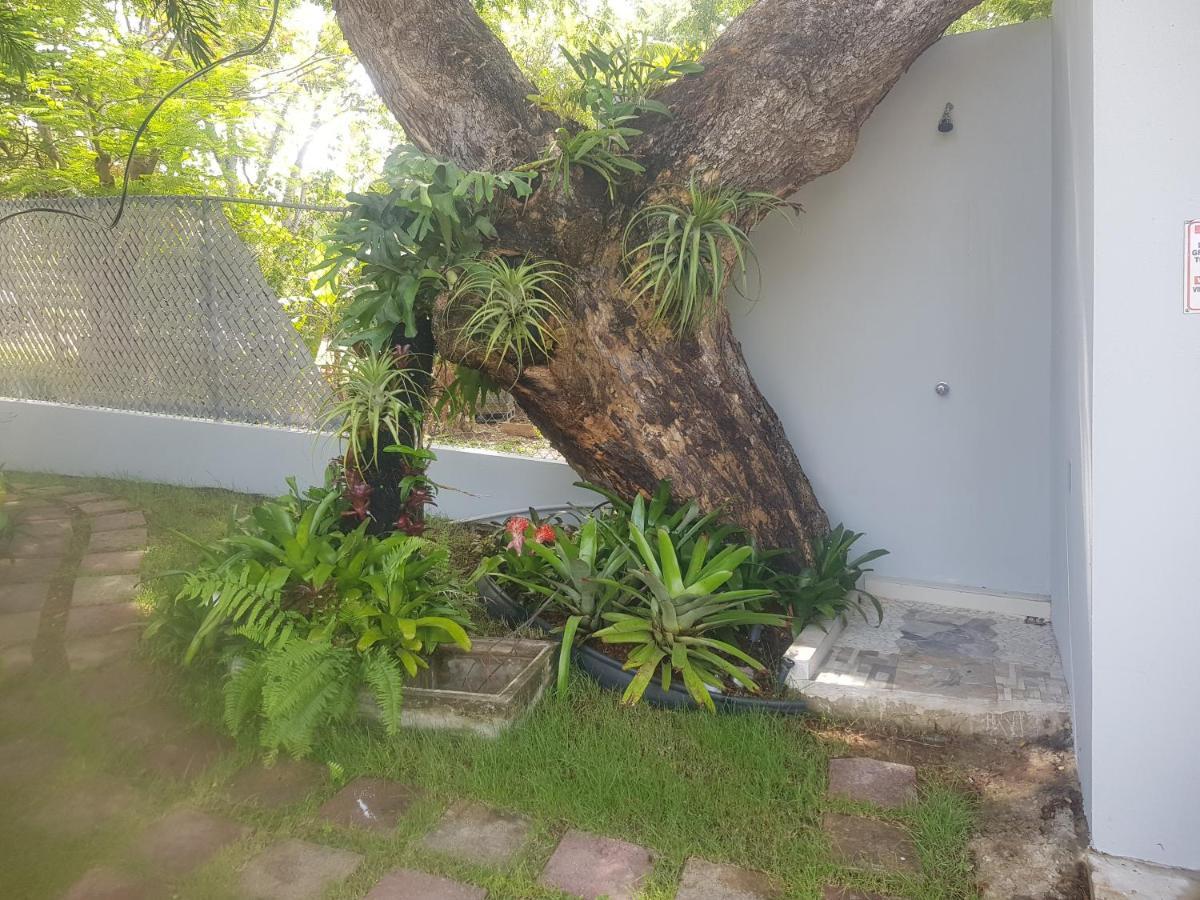 Always Summer Inn Isla Culebra Екстериор снимка