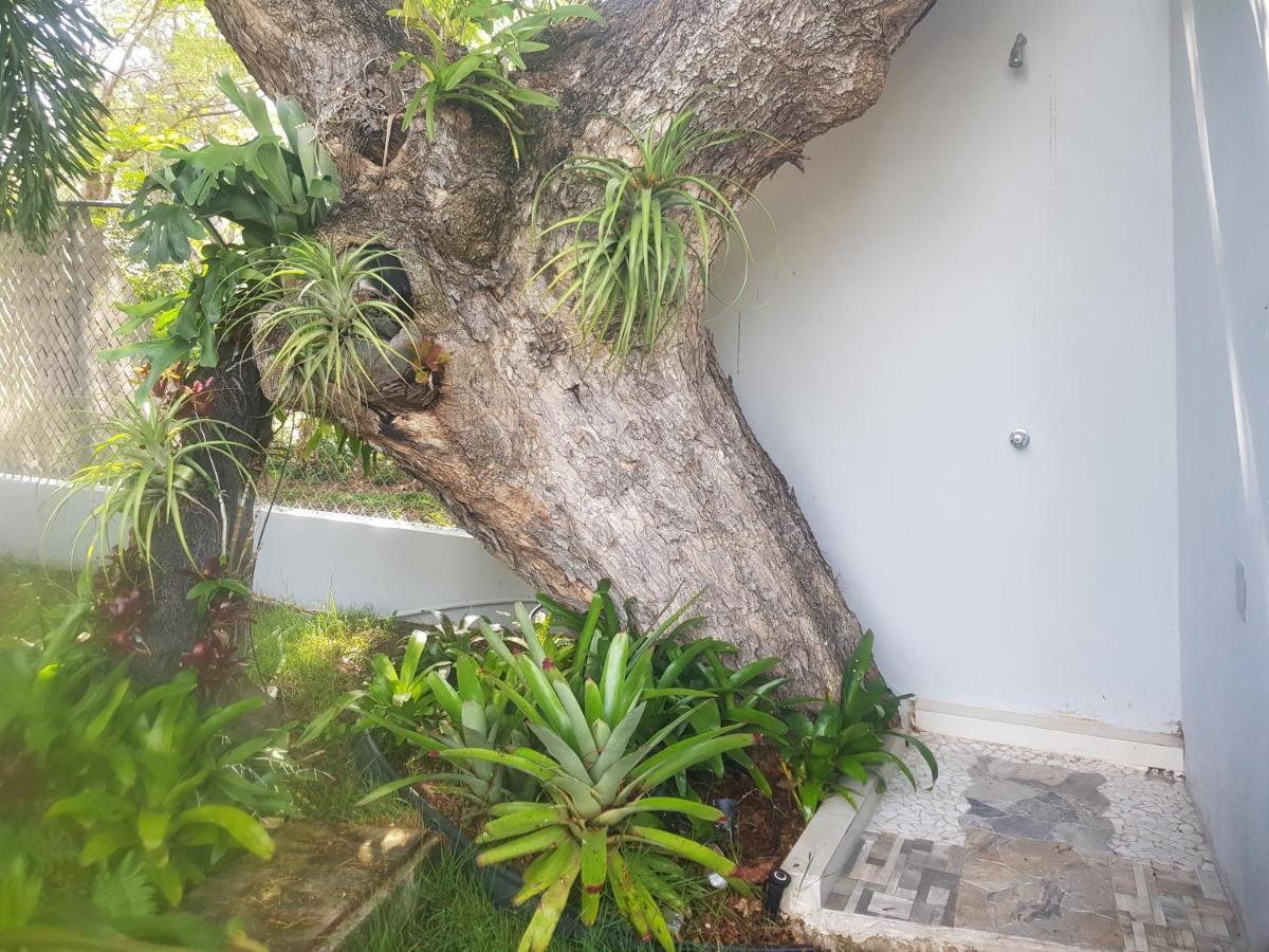 Always Summer Inn Isla Culebra Екстериор снимка